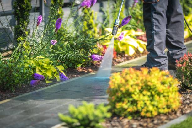 Best Gutter Cleaning  in Fredericksburg, TX
