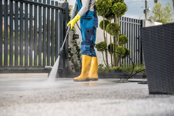 Best Soft Washing  in Fredericksburg, TX